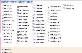 金商家T9服裝軟件 財(cái)務(wù)管理與ERP在服裝行業(yè)的全面解決方案